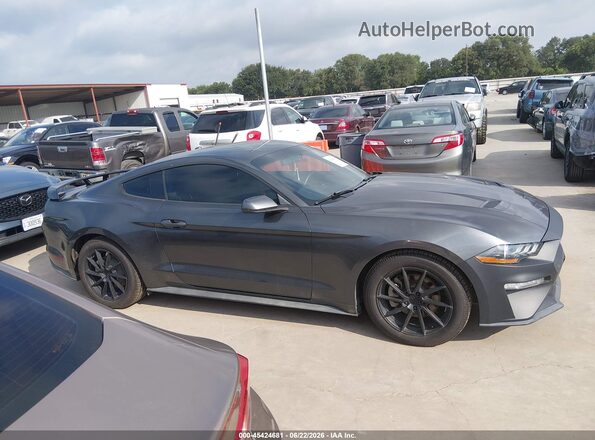 1FA6P8TH5K5185485 2019 FORD MUSTANG Gray Rear interior view