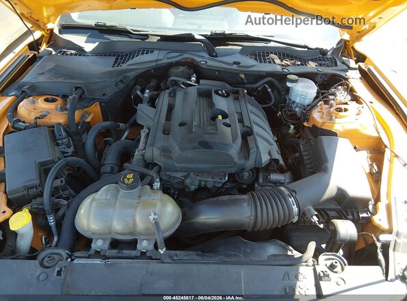1FA6P8TH5K5191836 2019 FORD MUSTANG Yellow უკანა ხედი