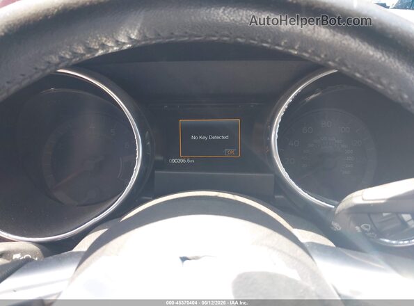 1FA6P8TH5K5193327 2019 FORD MUSTANG Red Вид задніх сидінь