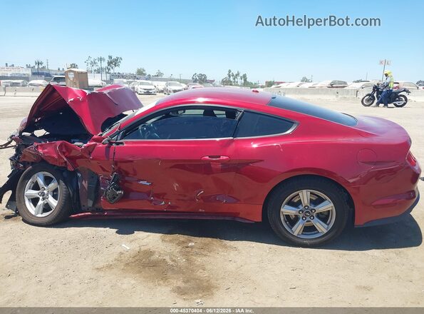 1FA6P8TH5K5193327 2019 FORD MUSTANG Red Вид задньої частини салону
