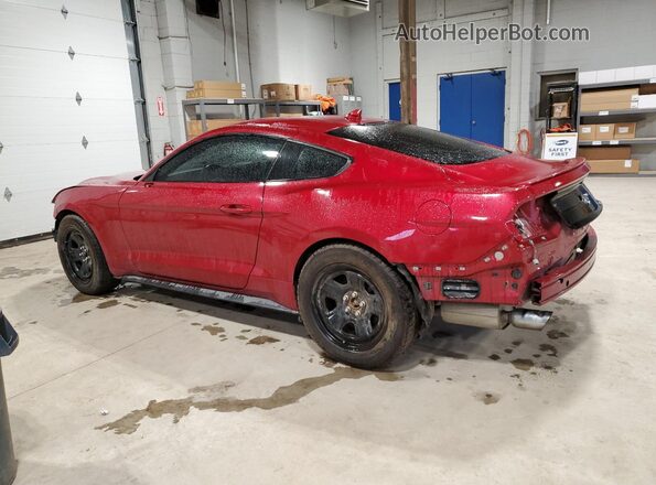 1FA6P8TH5L5179591 2020 FORD MUSTANG Red Trasero izquierdo