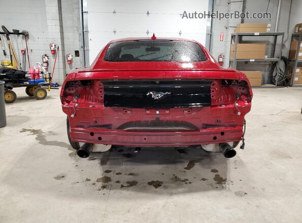 1FA6P8TH5L5179591 2020 FORD MUSTANG Red Vista trasera
