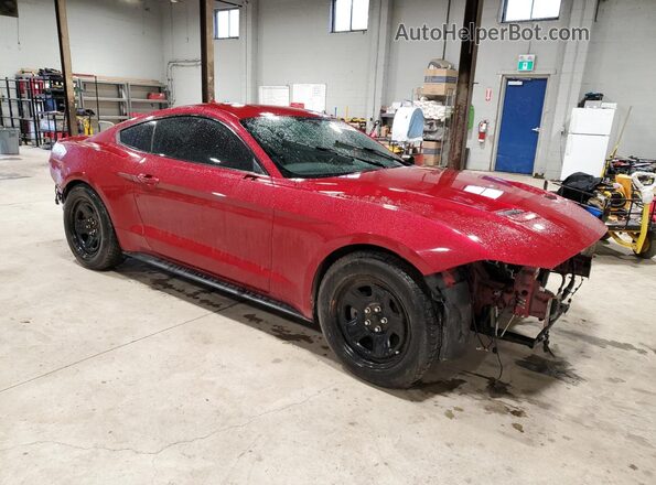 1FA6P8TH5L5179591 2020 FORD MUSTANG Red Delantero derecho