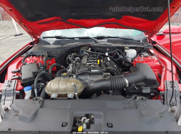 1FA6P8TH5M5107310 2021 FORD MUSTANG Red Widok z tyłu