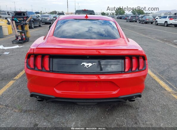 1FA6P8TH5M5107310 2021 FORD MUSTANG Red 