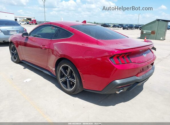 1FA6P8TH5R5104477 2024 FORD MUSTANG Red Rear left