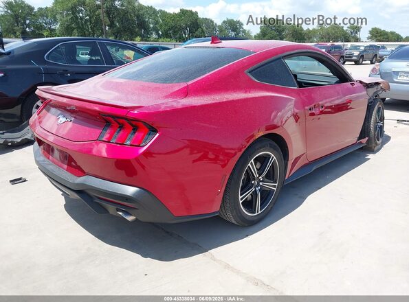 1FA6P8TH5R5104477 2024 FORD MUSTANG Red Rear right