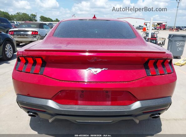 1FA6P8TH5R5104477 2024 FORD MUSTANG Red 