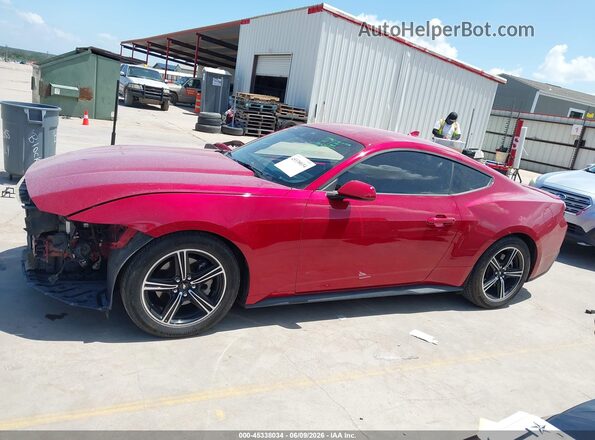 1FA6P8TH5R5104477 2024 FORD MUSTANG Red 
