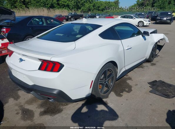 1FA6P8TH5R5112742 2024 FORD MUSTANG White უკანა მარჯვენა