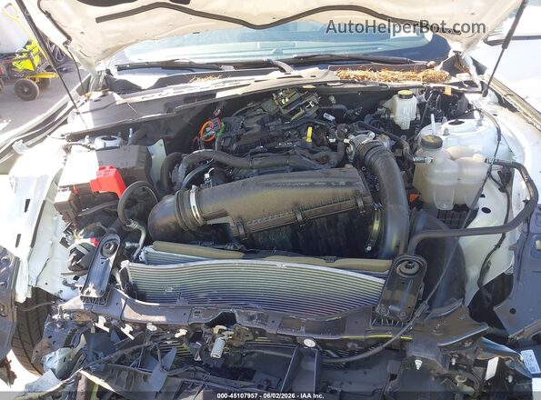 1FA6P8TH5R5112742 2024 FORD MUSTANG White უკანა ხედი