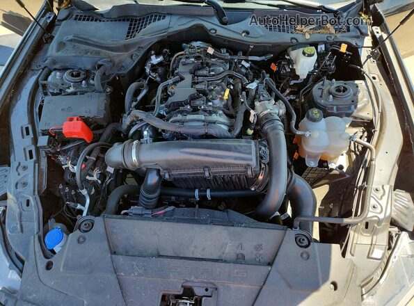 1FA6P8TH5R5141254 2024 FORD MUSTANG Black Vista interior trasera