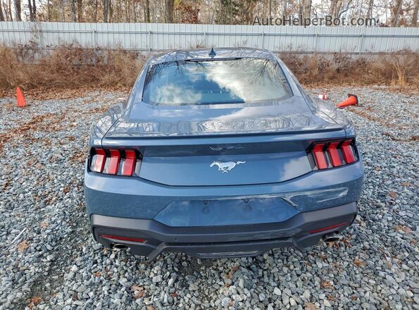 1FA6P8TH5R5146342 2024 FORD MUSTANG Blue Widok z tyłu