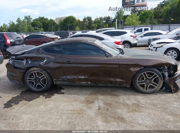 1FA6P8TH6K5106227 2019 FORD MUSTANG Коричневый Вид задней части салона