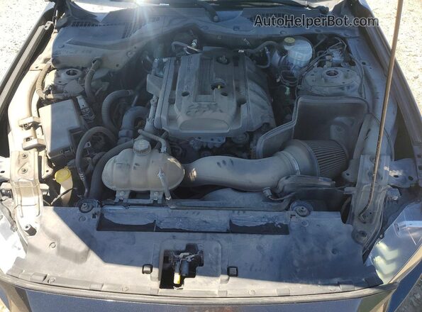 1FA6P8TH6K5106339 2019 FORD MUSTANG Gray Вид задньої частини салону
