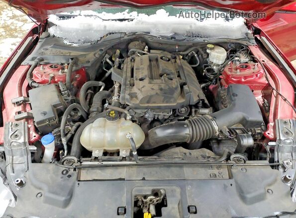 1FA6P8TH6L5149919 2020 FORD MUSTANG Red 