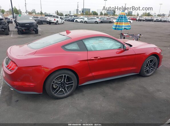 1FA6P8TH6P5106753 2023 FORD MUSTANG Red Սալոնի հետևի տեսք