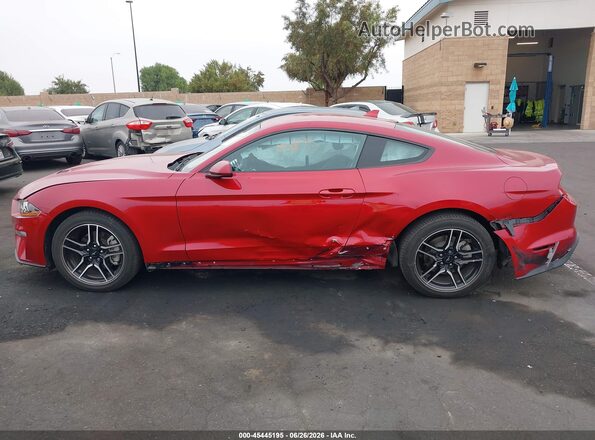 1FA6P8TH6P5106753 2023 FORD MUSTANG Red Սալոնի 360 աստիճան տեսք