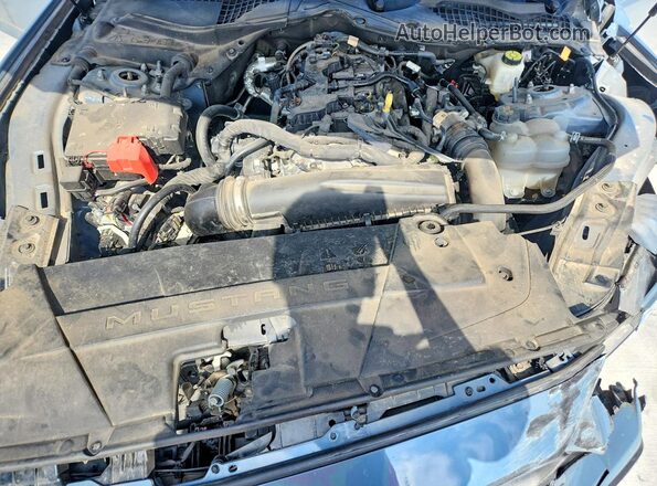 1FA6P8TH6R5110191 2024 FORD MUSTANG Gray Սալոնի հետևի տեսք