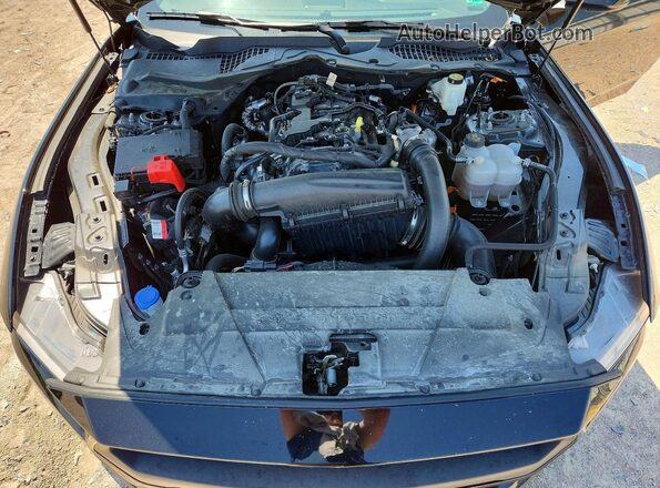 1FA6P8TH6R5138430 2024 FORD MUSTANG Черный Вид задней части салона