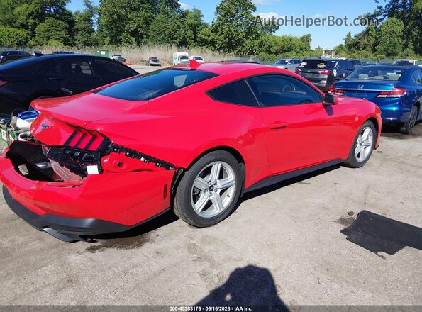 1FA6P8TH6T5114555 2026 FORD MUSTANG Red Trasero derecho