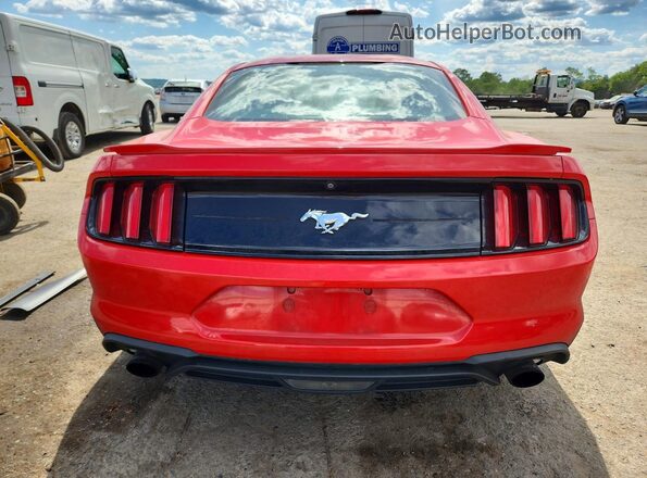 1FA6P8TH7J5102167 2018 FORD MUSTANG Red Вид ззаду