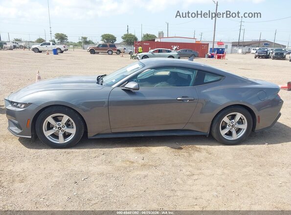 1FA6P8TH7R5113259 2024 FORD MUSTANG Silver 