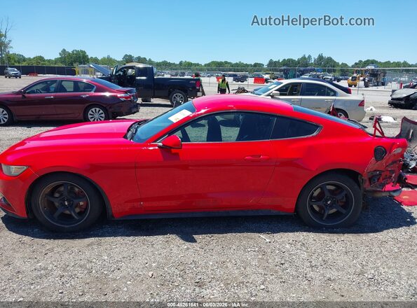 1FA6P8TH8H5343102 2017 FORD MUSTANG Red 
