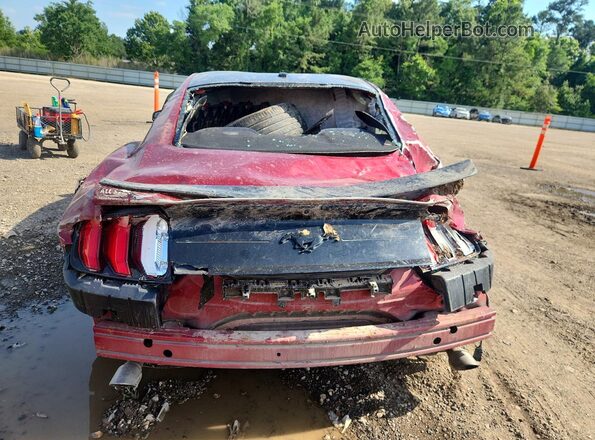 1FA6P8TH8K5129363 2019 FORD MUSTANG Red 