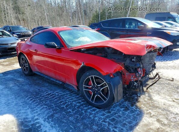 1FA6P8TH8L5140039 2020 FORD MUSTANG Red 