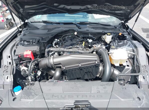 1FA6P8TH8T5103511 2026 FORD MUSTANG Gray Vista trasera
