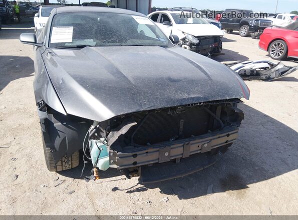1FA6P8TH9H5259242 2017 FORD MUSTANG Gray Widok z przodu