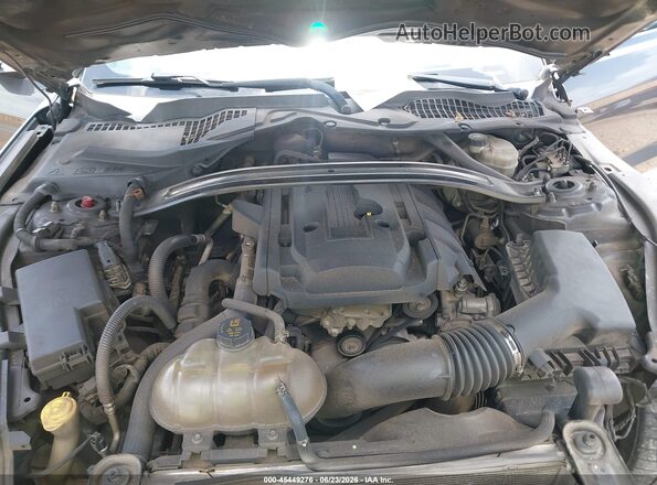 1FA6P8TH9K5118291 2019 FORD MUSTANG Gray Հետևի տեսք