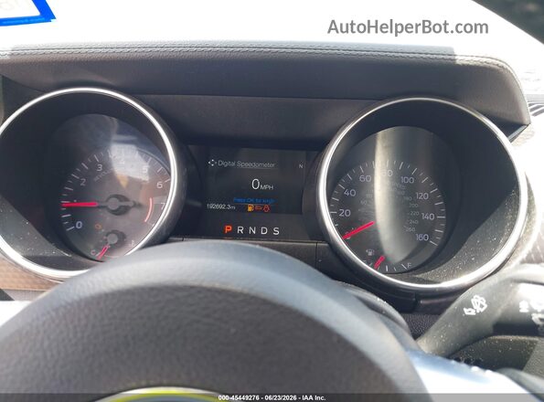 1FA6P8TH9K5118291 2019 FORD MUSTANG Gray Հետևի նստատեղերի տեսք