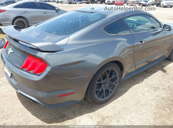1FA6P8TH9K5118291 2019 FORD MUSTANG Gray Հետևի աջ