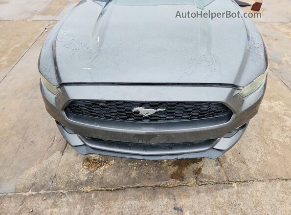 1FA6P8THXG5278817 2016 FORD MUSTANG Gray Widok wnętrza z tyłu