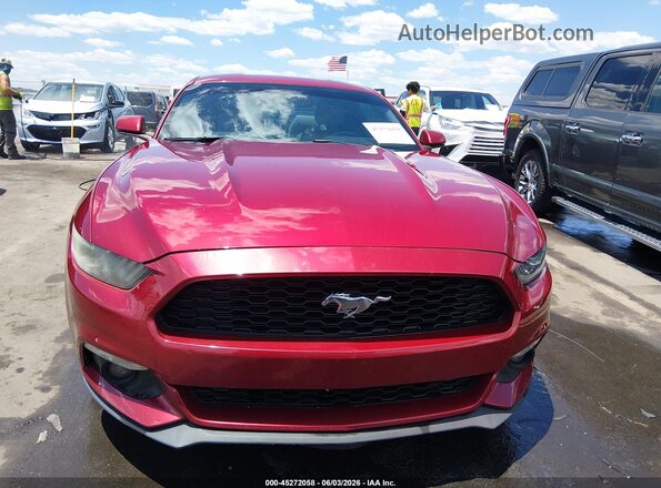 1FA6P8THXG5294466 2016 FORD MUSTANG Red Widok wnętrza z tyłu