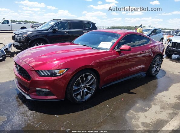 1FA6P8THXG5294466 2016 FORD MUSTANG Red Przód lewy
