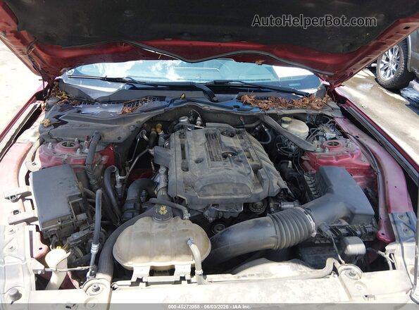 1FA6P8THXG5294466 2016 FORD MUSTANG Red Widok z tyłu