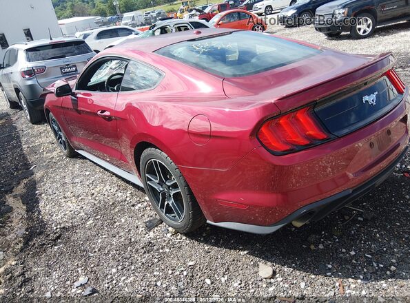 1FA6P8THXK5195610 2019 FORD MUSTANG Red Tył lewy