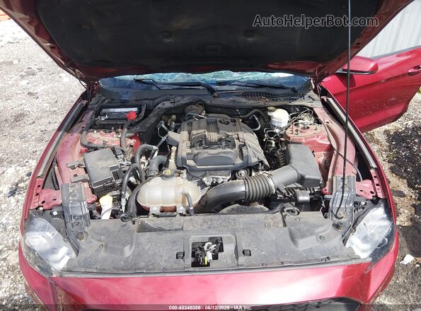 1FA6P8THXK5195610 2019 FORD MUSTANG Red Widok z tyłu