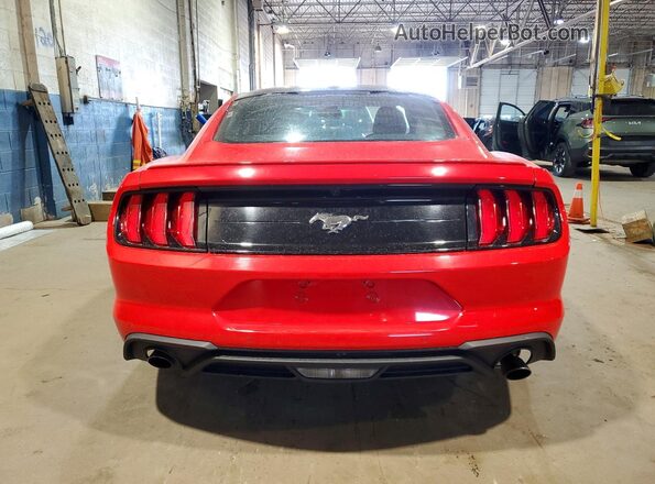 1FA6P8THXL5111643 2020 FORD MUSTANG Red Вид ззаду