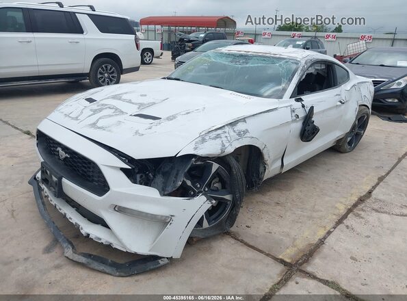 1FA6P8THXM5135023 2021 FORD MUSTANG White Przód lewy