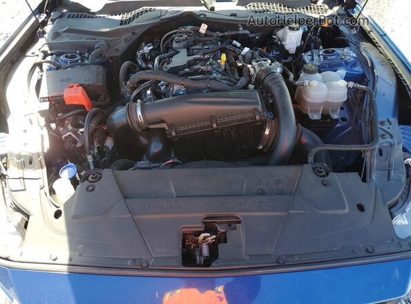 1FA6P8THXR5126331 2024 FORD MUSTANG Blue Սալոնի հետևի տեսք