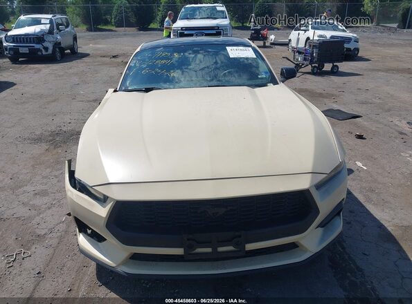 1FA6P8THXR5128841 2024 FORD MUSTANG Cream Սարքավորումների վահանակի տեսք
