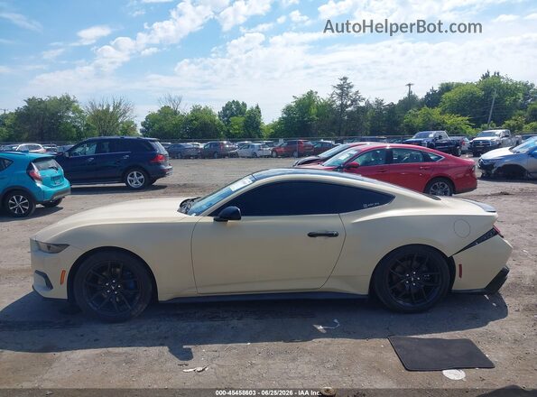 1FA6P8THXR5128841 2024 FORD MUSTANG Cream Սալոնի 360 աստիճան տեսք