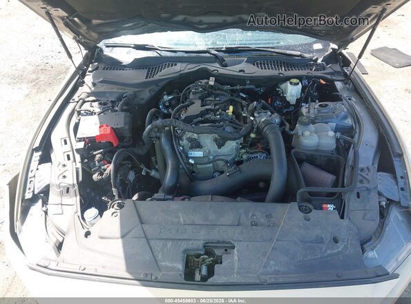 1FA6P8THXR5128841 2024 FORD MUSTANG Cream Հետևի տեսք