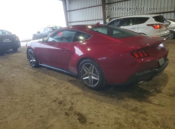 1FA6P8THXT5101548 2026 FORD MUSTANG Красный 