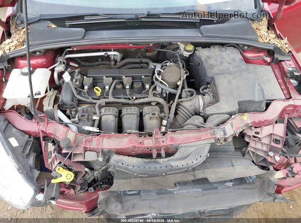 1FADP3F21GL304007 2016 FORD FOCUS Red Widok z tyłu