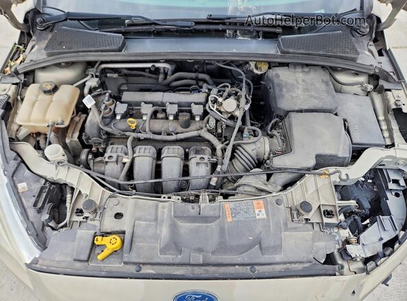 1FADP3F24GL344095 2016 FORD FOCUS Gold Вид задньої частини салону
